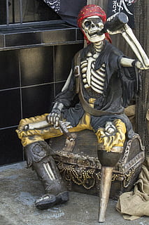 pirate, drunk, captain, piracy, humorous, sailor, skeleton HD wallpaper