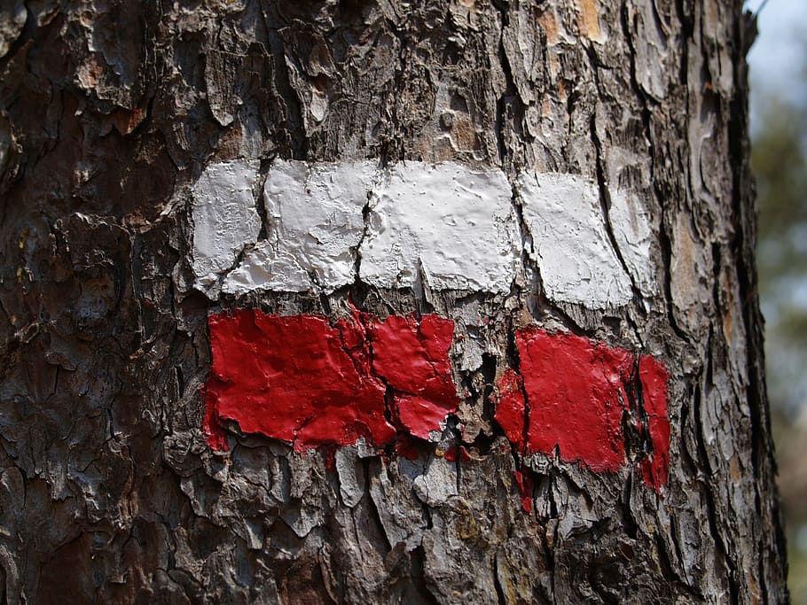 tag, wood, flag, red, white, tour, label, tourist, tree, travel HD wallpaper