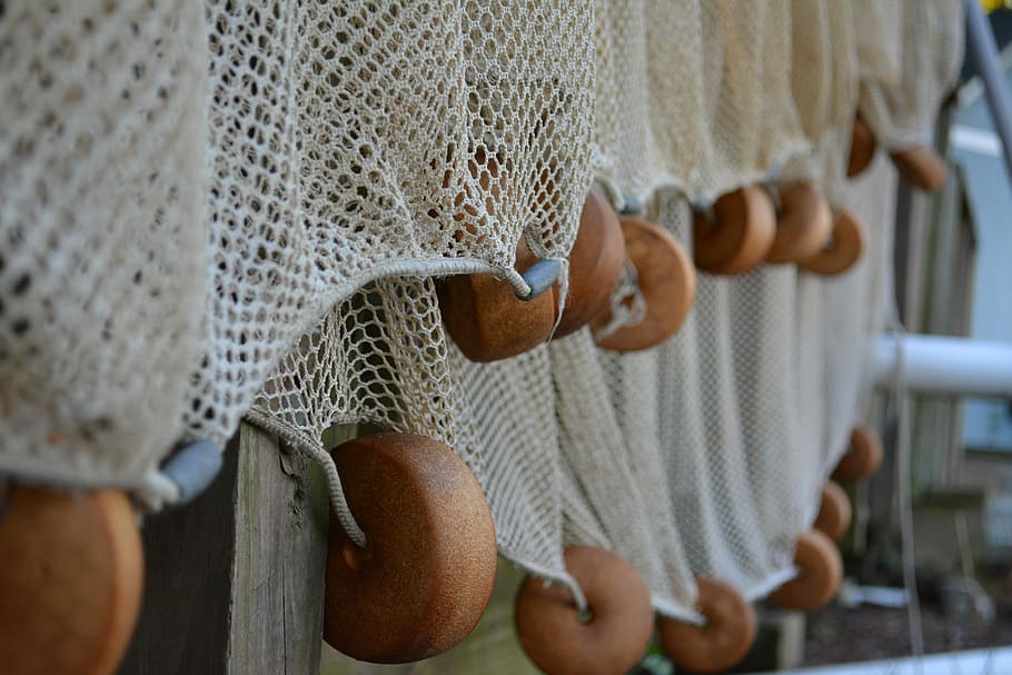 Fishing, Net, Fishing Net, Catch, coast, active, harbor, water HD wallpaper