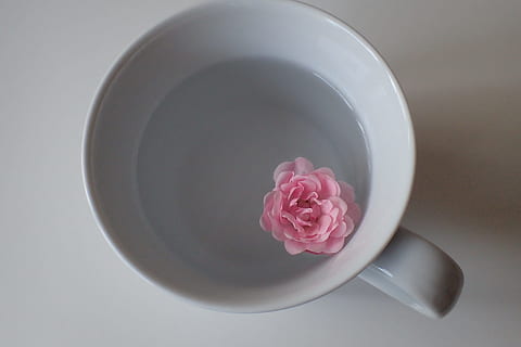 pink flower on white ceramic mug, cup, food, easter egg, hartgekocht HD wallpaper