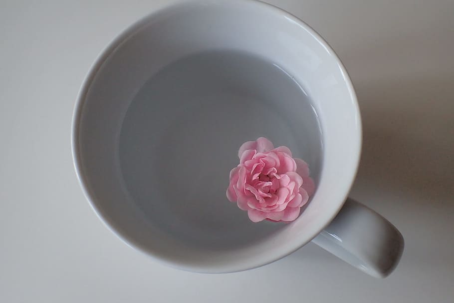 pink flower on white ceramic mug, cup, food, easter egg, hartgekocht HD wallpaper