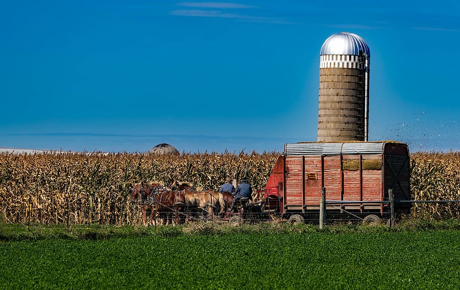 amish, indiana, old fashioned, farm, agriculture, silo, horses, HD wallpaper