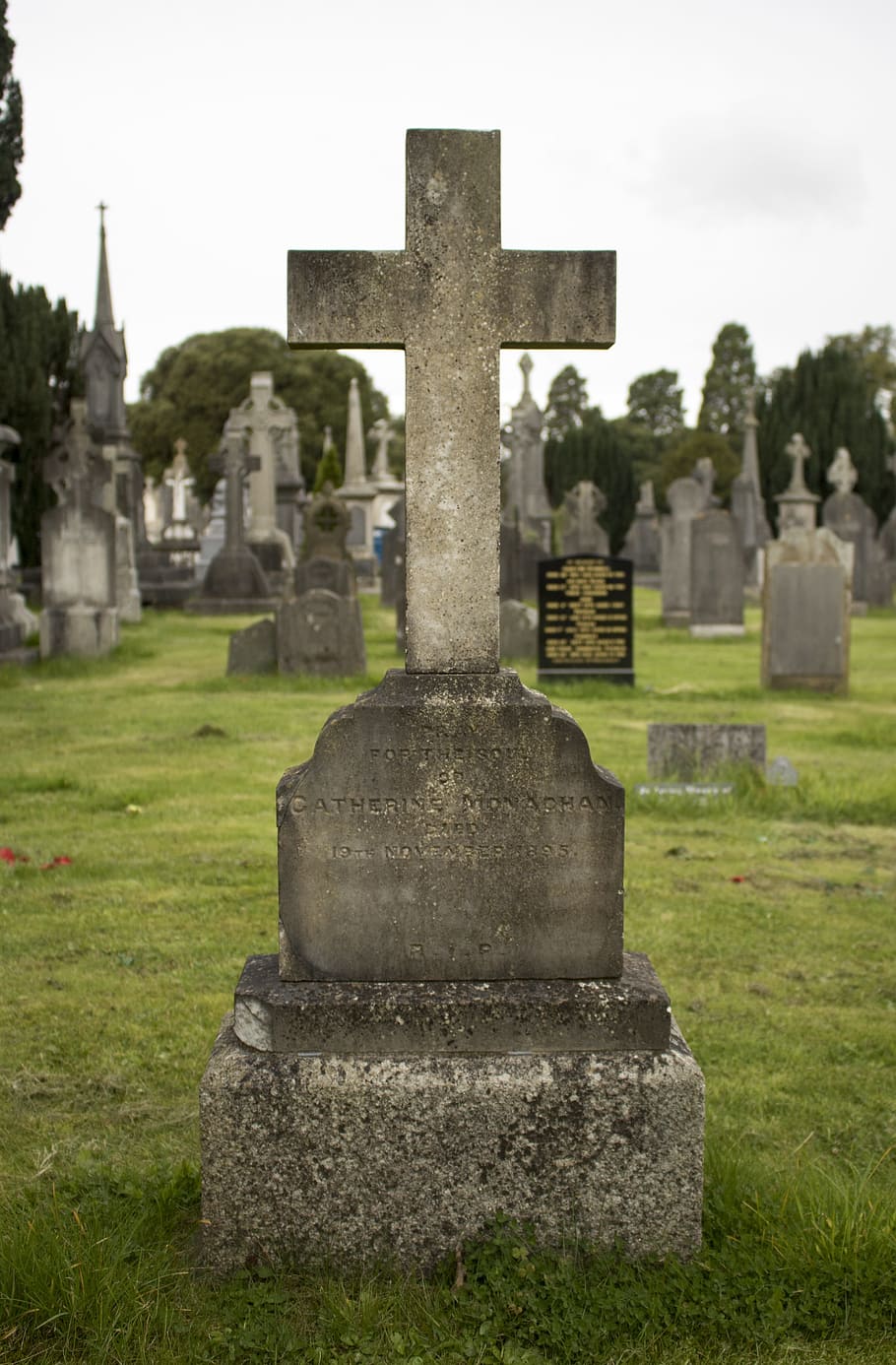 glasnevin, dublin, ireland, cemetery, tombstone, celtic, funeral