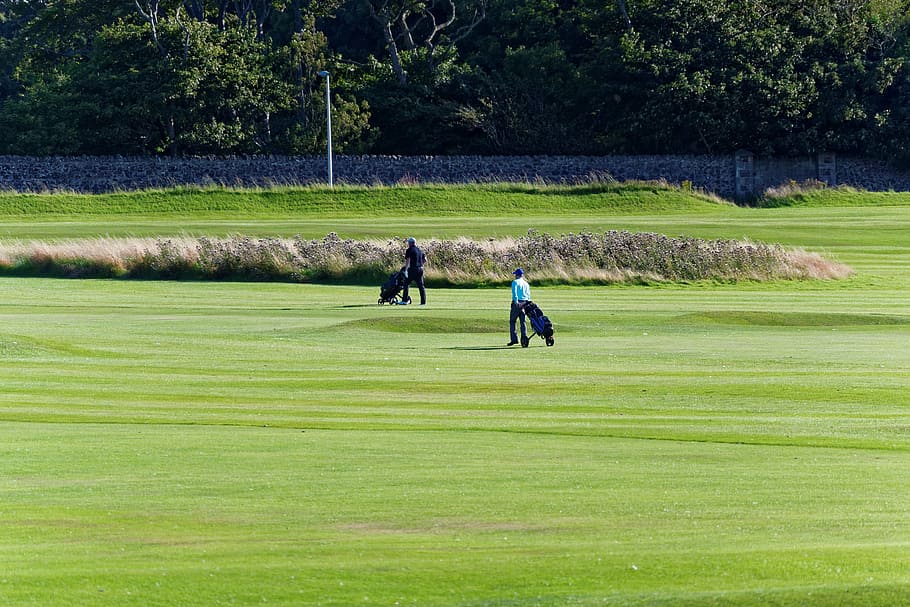 golf, golf course, golfer, green, grass, sport, game, golf course landscape HD wallpaper