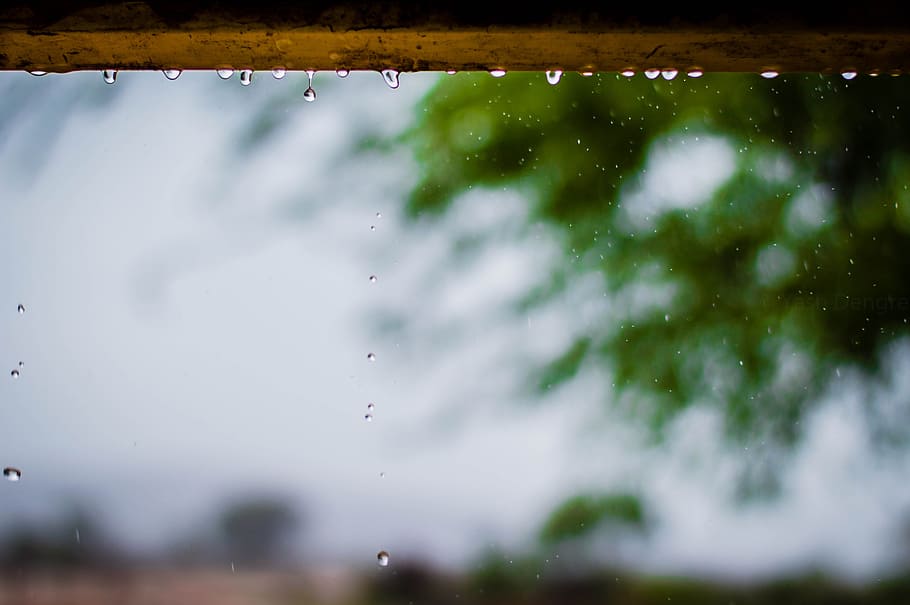 Photography of Rainy Weather With Trees, blur, bokeh, calamity, HD wallpaper