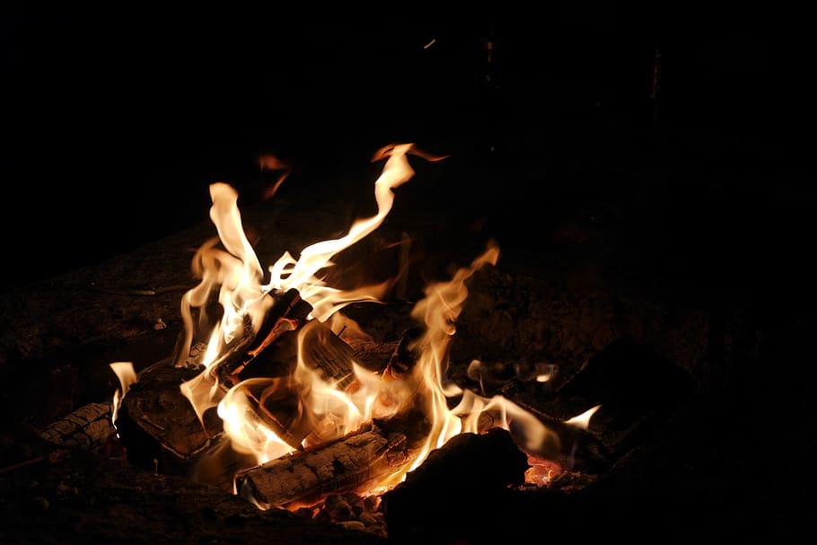 fire, campfire, adventure, burning, fire - natural phenomenon HD wallpaper