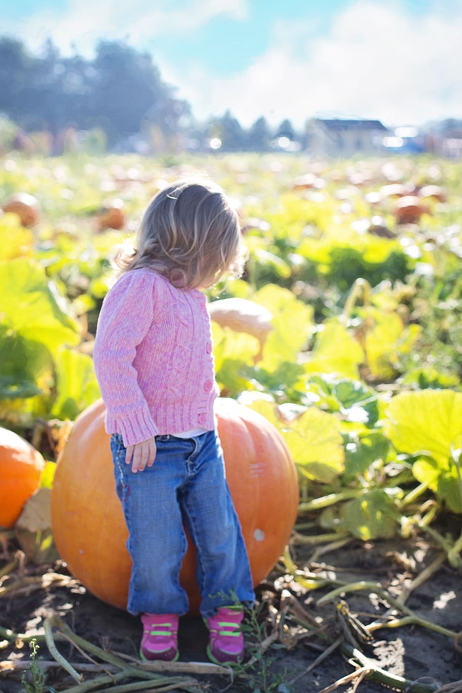 girl sitting on pumpkin, giant pumpkins, autumn, fall, orange HD wallpaper