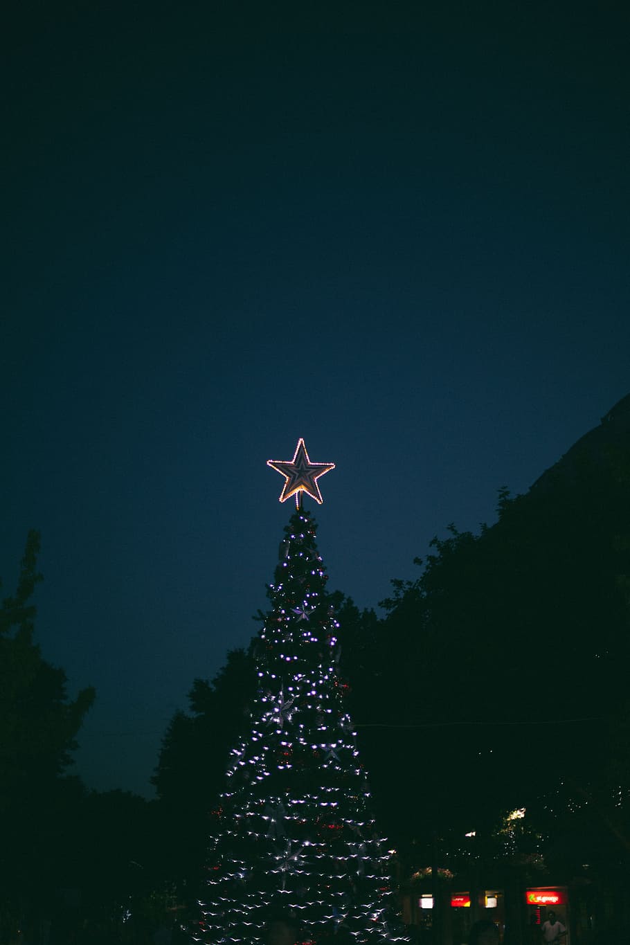 night, christmas, light, outside, trees, plant, christmas tree HD wallpaper