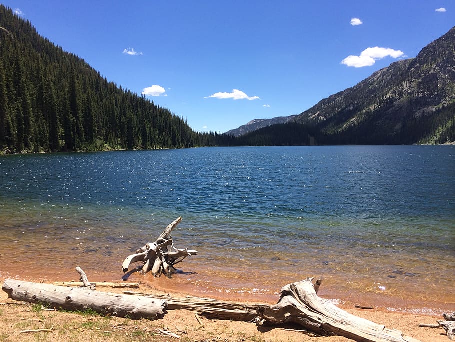 emerald lake, colorado, mountain, nature, peaceful, water, tree HD wallpaper