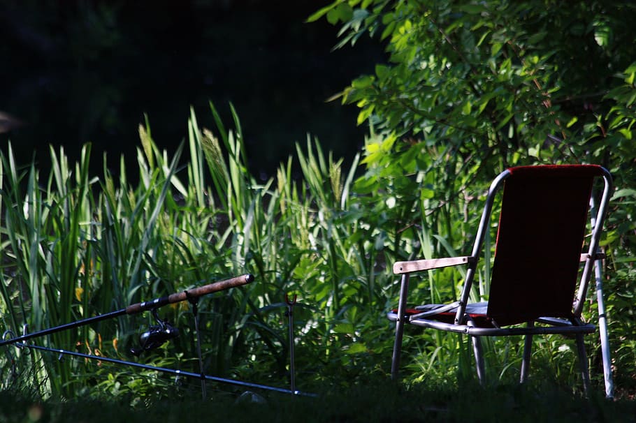 fishing, holiday, on the lake, plant, chair, seat, green color, HD wallpaper