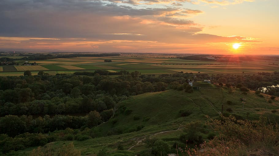 green grass field during golden hours, bird's-eye view of green grass field HD wallpaper
