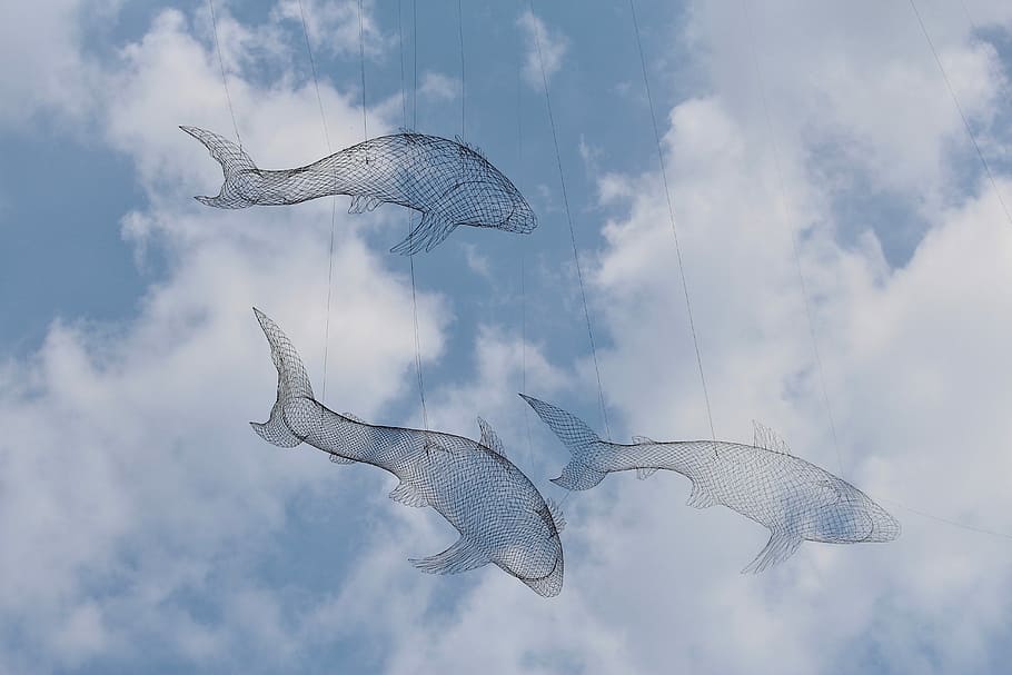 three shark kite on the sky, three fish string decor under white clouds and blue sky HD wallpaper