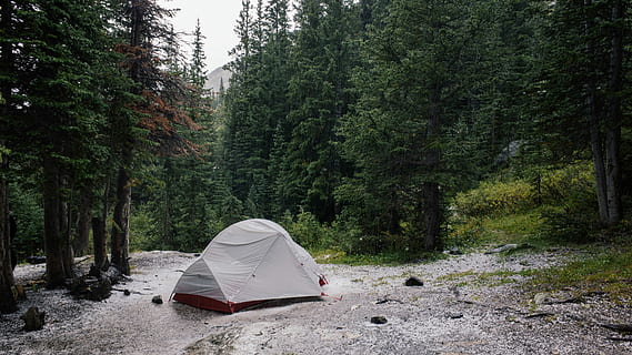 gray tent beside lake surrounded by trees, gray dome tent inside a forest HD wallpaper