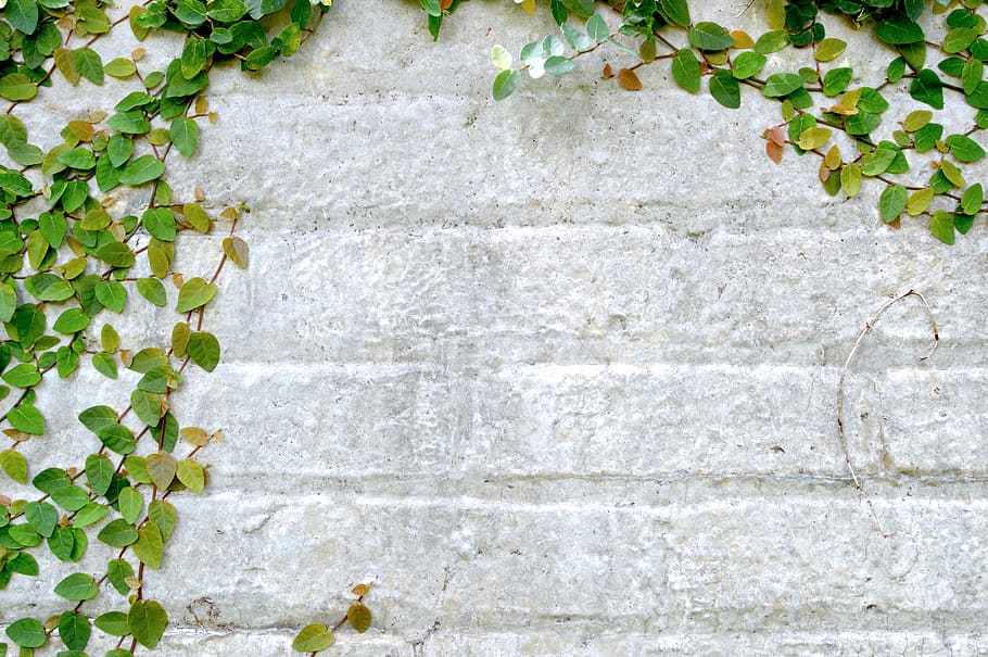 If Walls Could Talk, photo of gray concrete surface, brick, stone, HD wallpaper