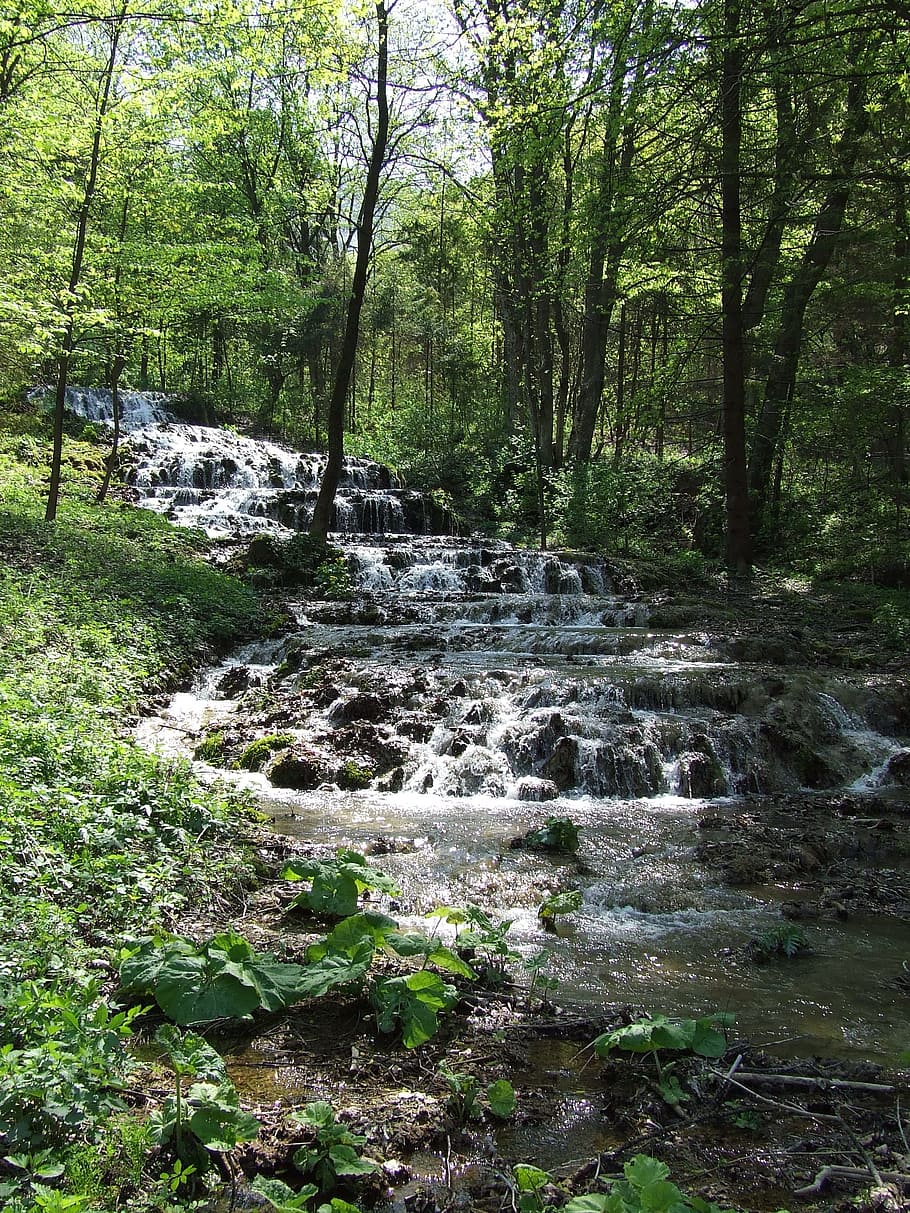 river with flowing water in between forest, waterfall, stream HD wallpaper