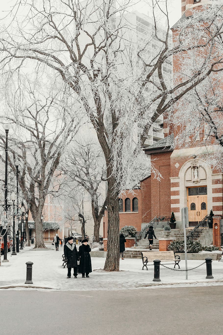 man and woman in coat standing near withered trees, two people under snow covered tree HD wallpaper