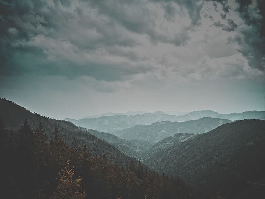 mountain, valley, landscape, nature, trees, plants, forest HD wallpaper