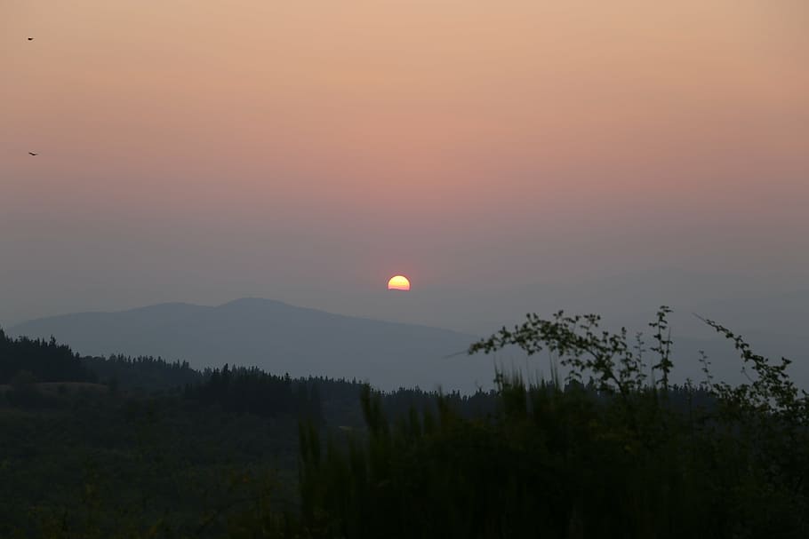 sunset, nature, forest, tree, landscape, mountain, morning HD wallpaper