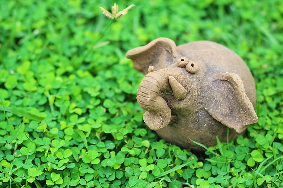 elephant, green, nature, natural, animal, big, safari, environment HD wallpaper