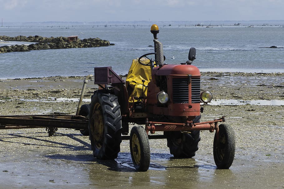 tractor, tide-low, noirmoutier, water, sea, transportation HD wallpaper