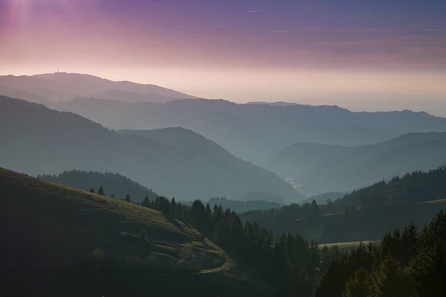 bird's eye view of trees and hills, nature, landscape, mountain HD wallpaper