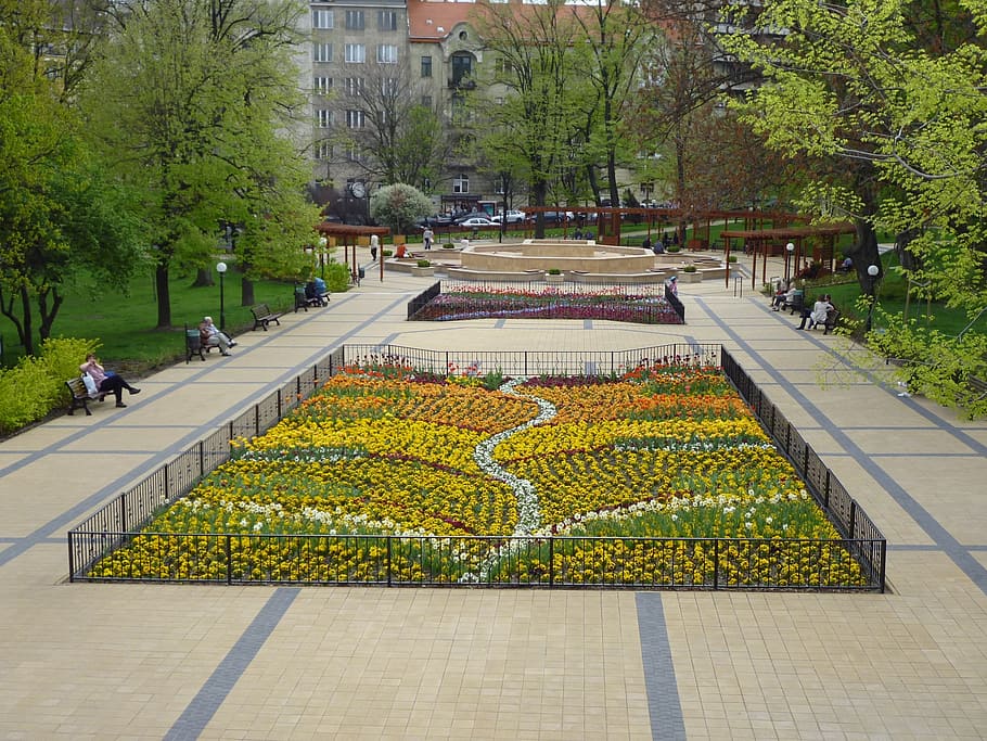spring, flowers, grove, park, resting, plant, tree, flowering plant HD wallpaper