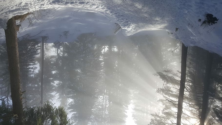 A walk in the forest. Awesome light show, open field covered with snow and trees HD wallpaper