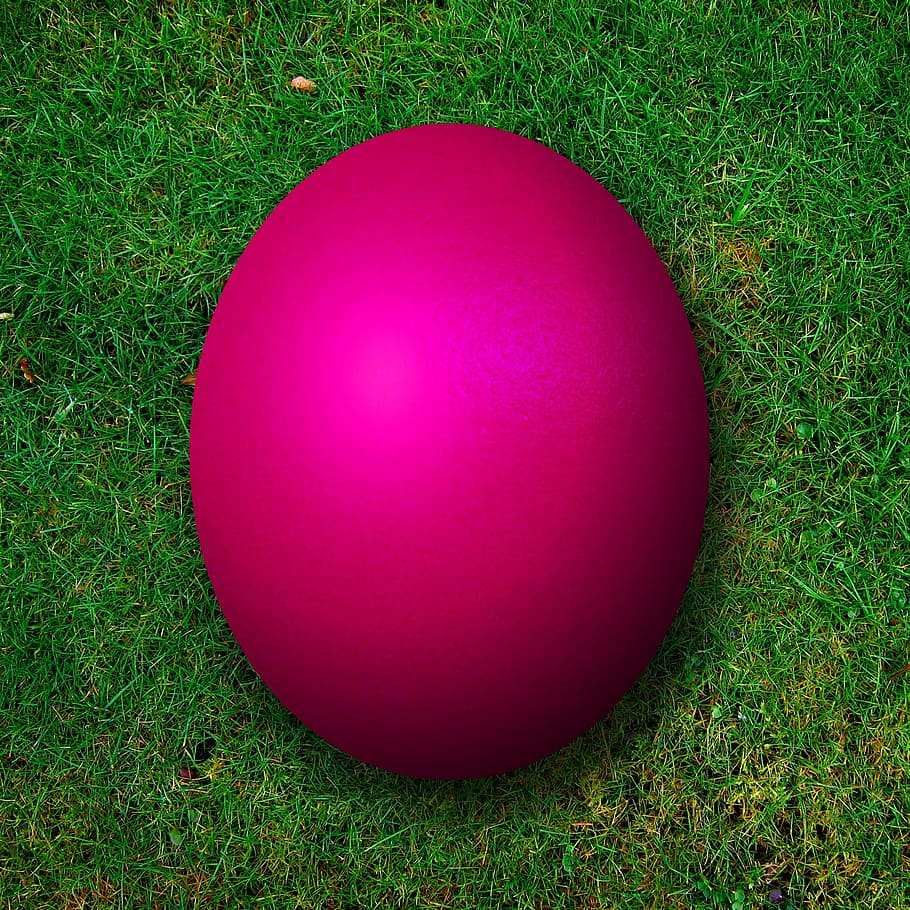 pink ball, Purple, Easter Egg, osterrn, color, colorful, meadow HD wallpaper