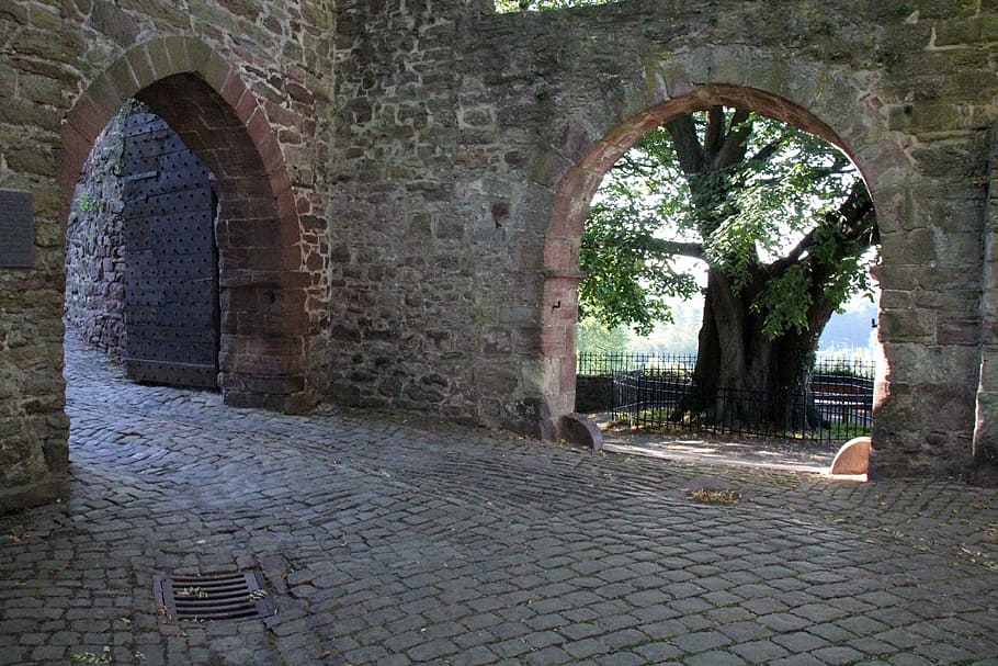 gray ruin castle, goal, by looking, tree, patch, architecture HD wallpaper