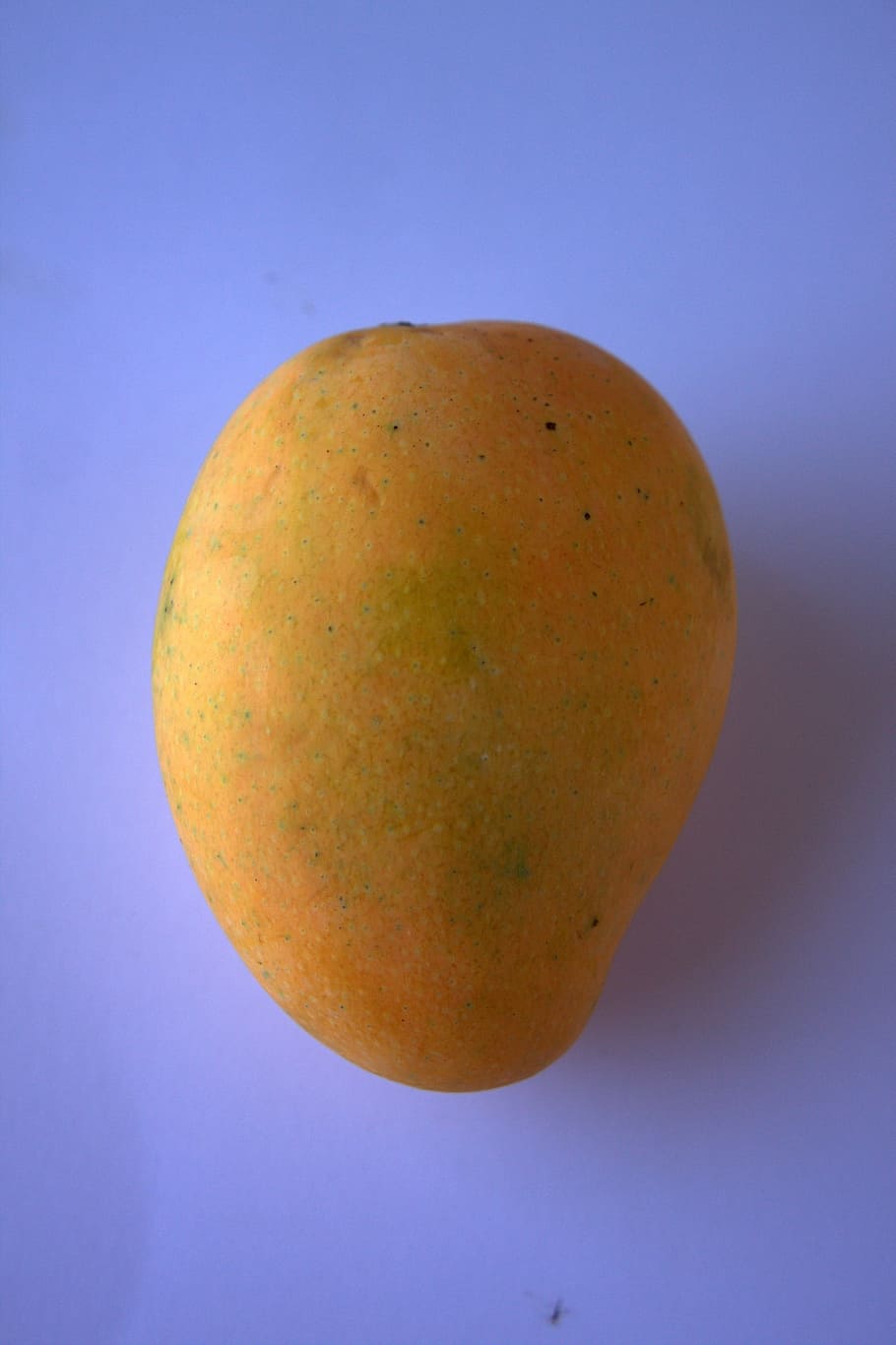 alphonso mango, mangoes, sweet, tasty, yellow, fruit, diet, HD wallpaper