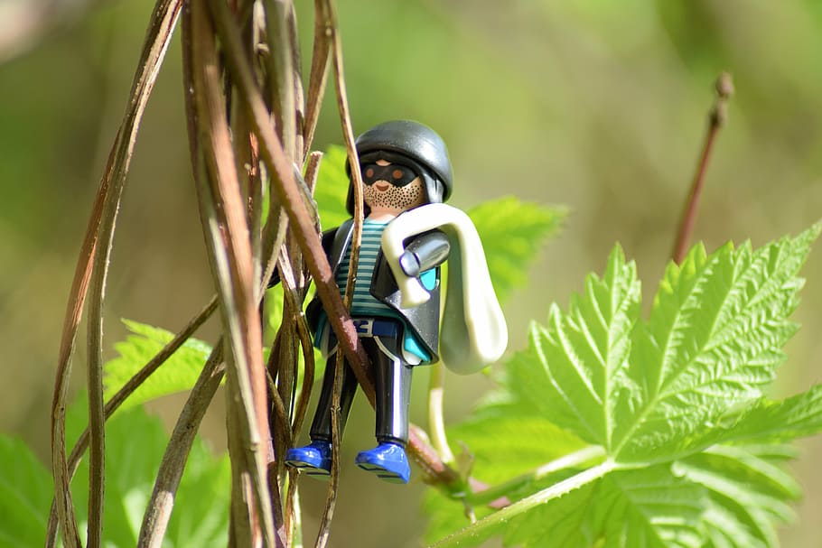 male toy character hanging on green leafed vine plant, burglary