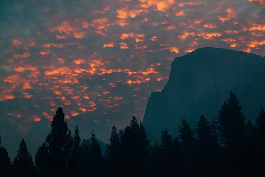 silhouette of trees near mountain during golden hour, silhouette of mountains and trees under orange and gray skies HD wallpaper
