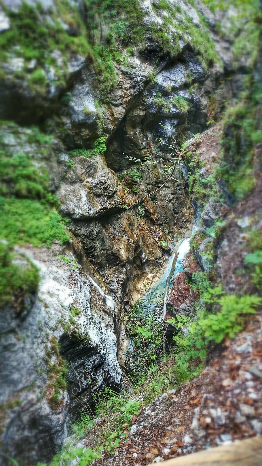 water, tree, gorge, bach, plant, nature, rock, solid, no people HD wallpaper