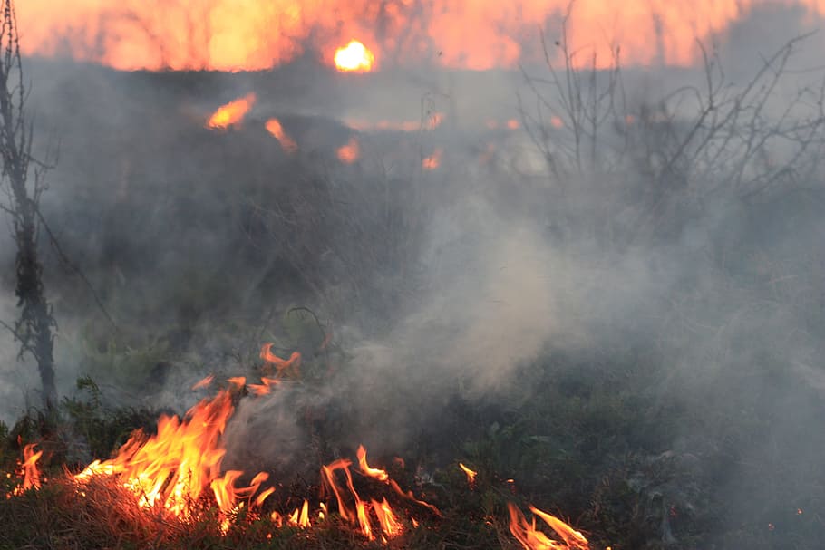 wild fire, smoke, sunset, red, disaster, apocalyptic, horror HD wallpaper