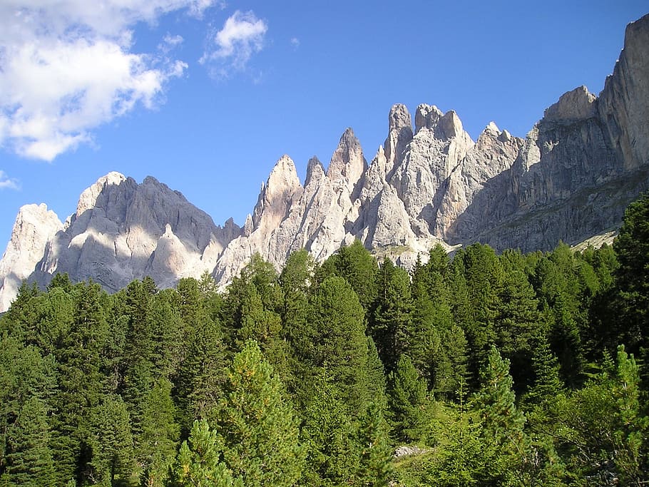 geisler range, dolomites, south tyrol, forest, mountains, climb, HD wallpaper