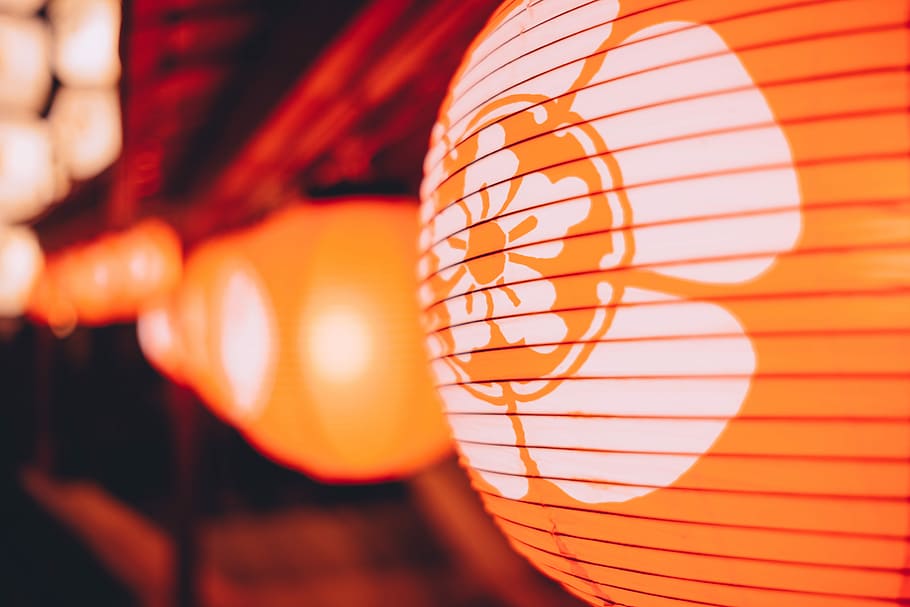 selective photo of orange floral decor, closeup photo of white and orange floral lantern HD wallpaper