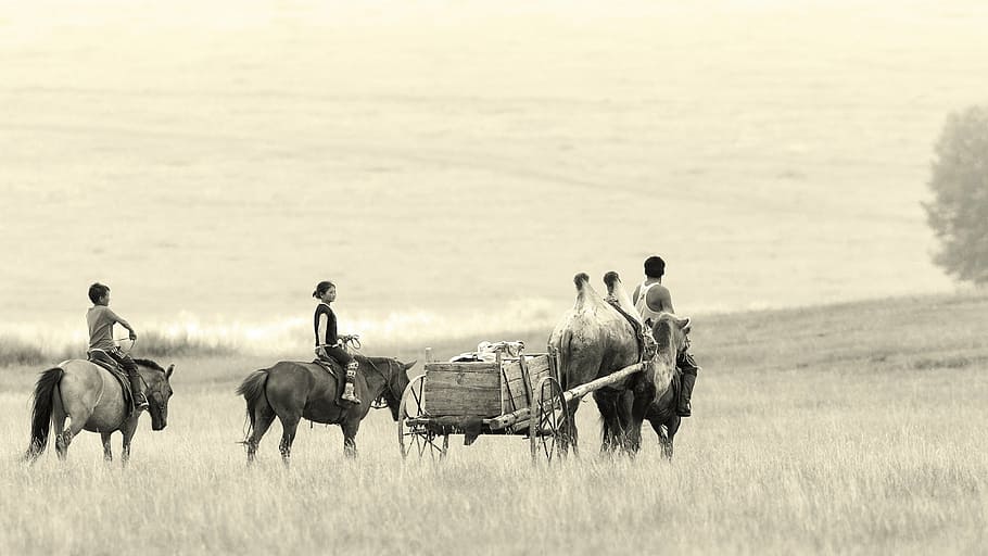 three people roaming at the field, landscape, mongolia, bayan ovoo HD wallpaper