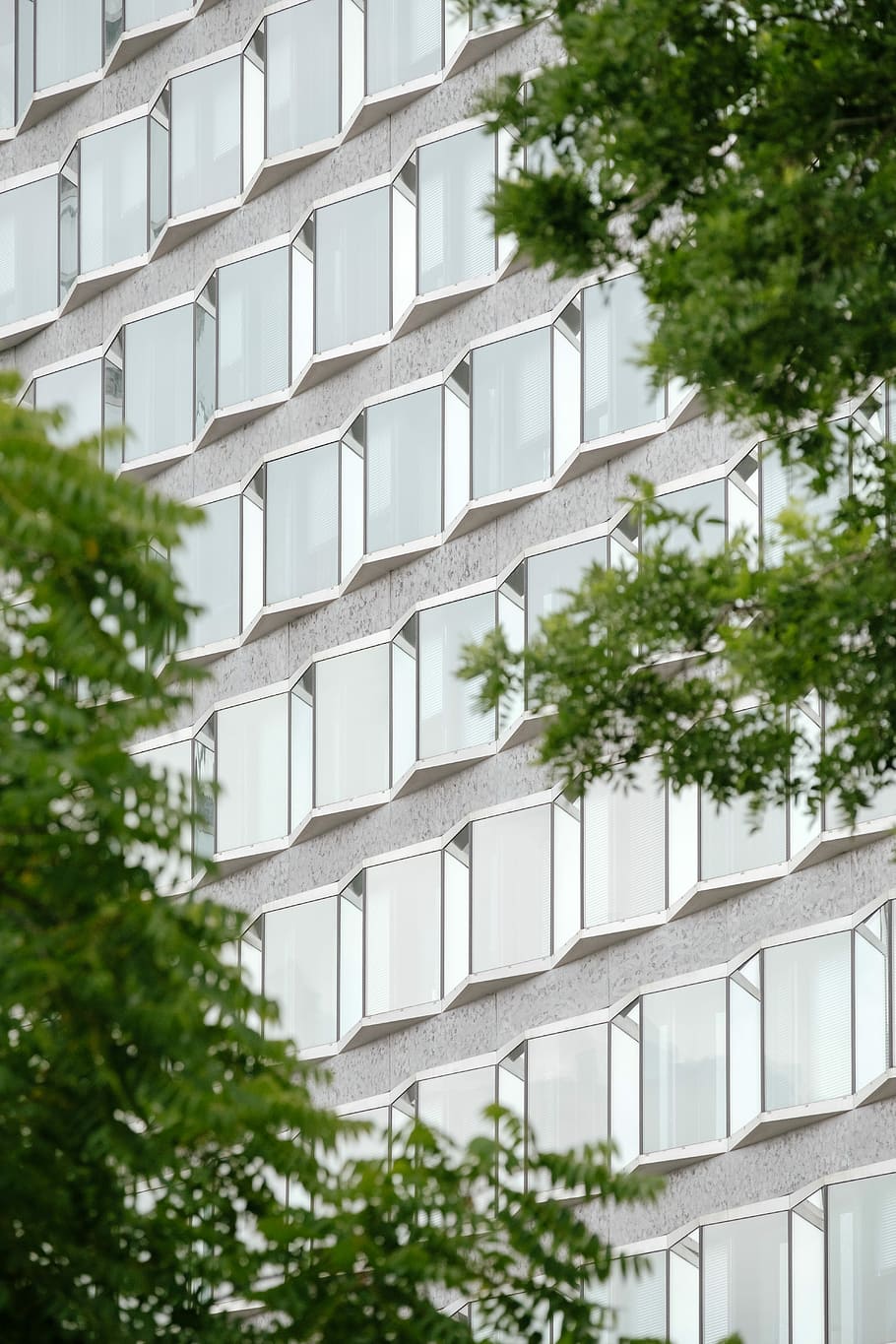 photo of mirror building and green trees, green trees near gray high-rise building HD wallpaper