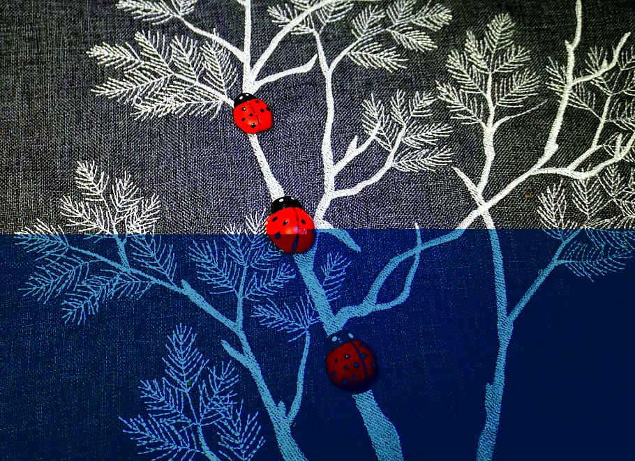 ladybugs, decoration, texture, textile, small, gray, background HD wallpaper