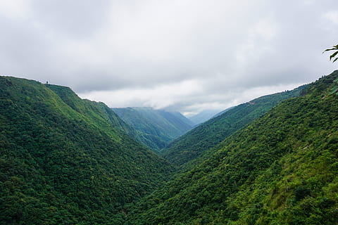 Download wallpaper trees, bridge, roots, river, India, Meghalaya, section  nature in resolution 1152x864