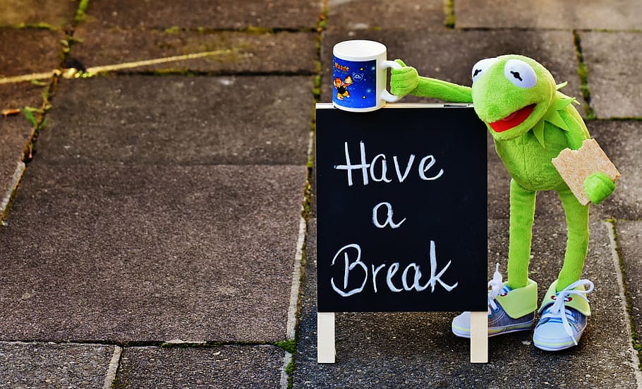 Kermit The Frog holding mug, cup, drink coffee, break, coffee break, HD wallpaper