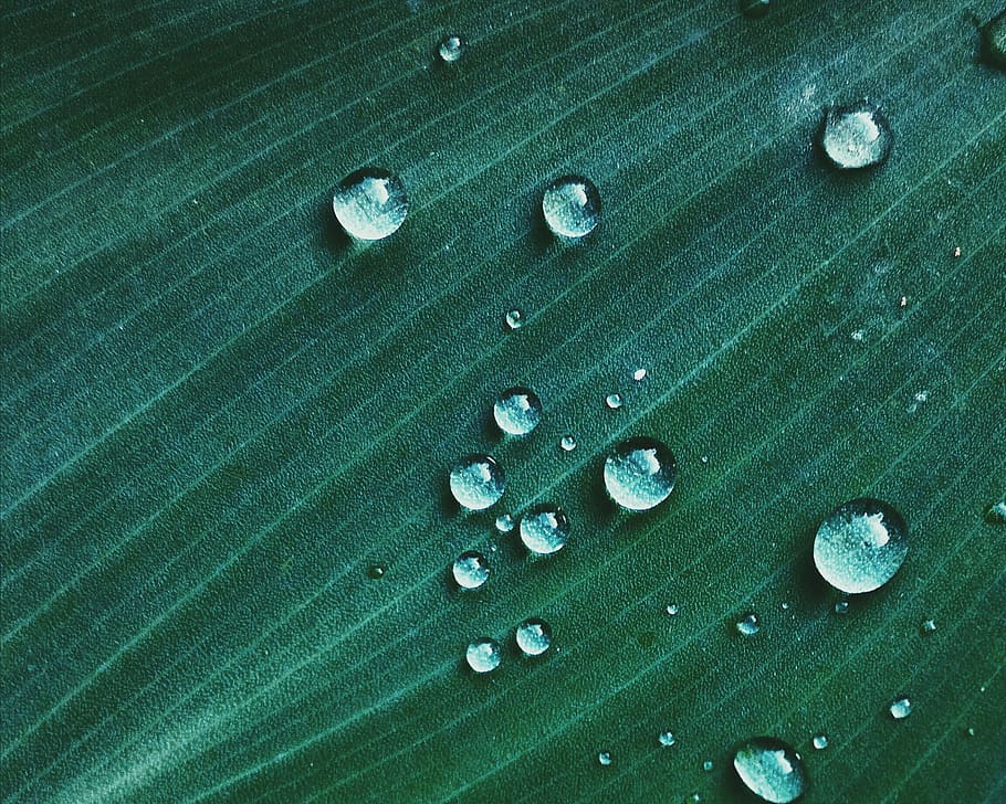Macro Shot of Water Drop on Green Textile, background, blur, bubble HD wallpaper