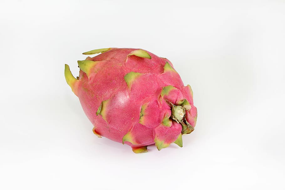 fruit, dragon fruit, red dragon, single object, pink color, HD wallpaper