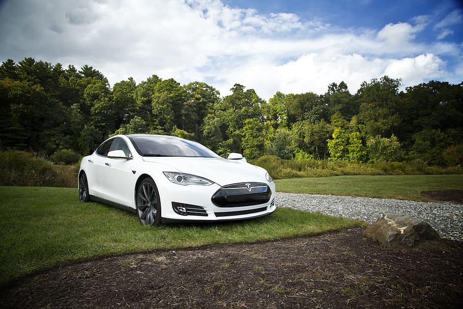 white tesla parked on green grass lawn during day time, white Tesla sedan parked on green grass field near trees