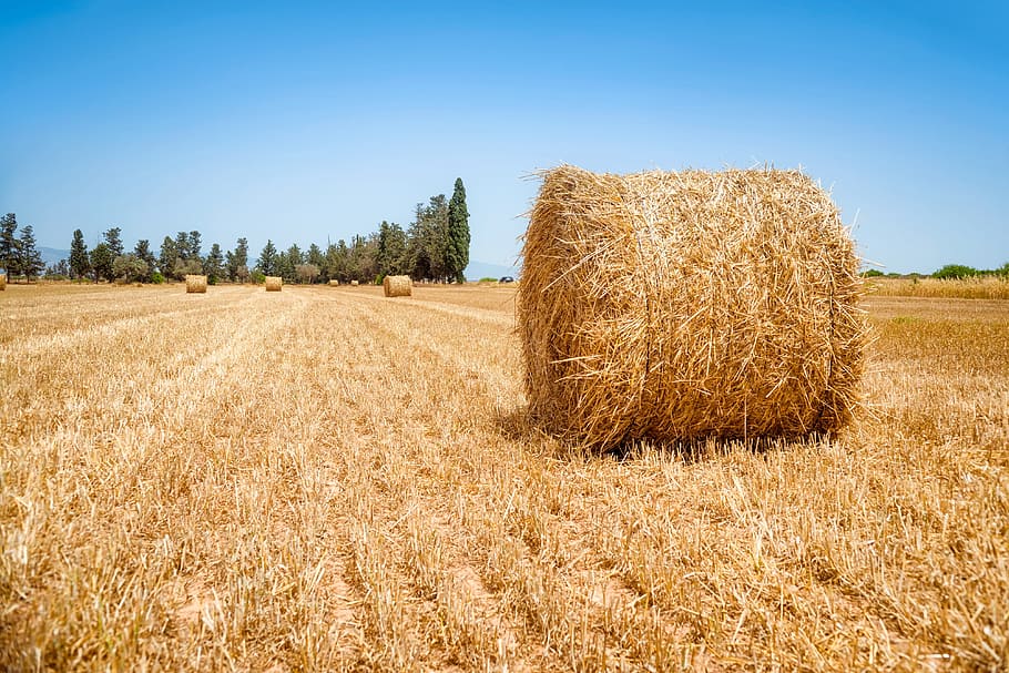 round hay bale, blue sky, cloud, countryside, farm, farming HD wallpaper