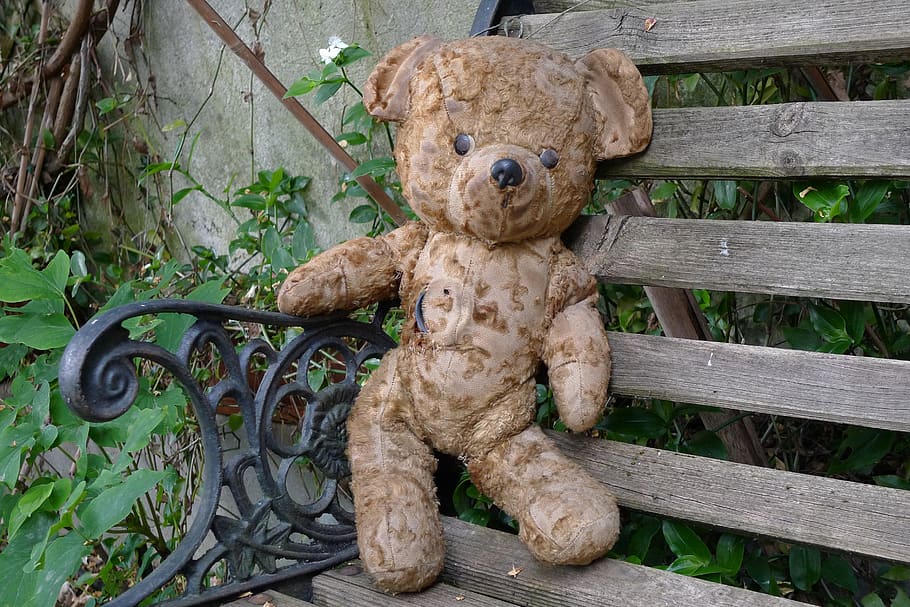 teddy bear, old teddy bear, bear plush, garden, outside, toy child, HD wallpaper