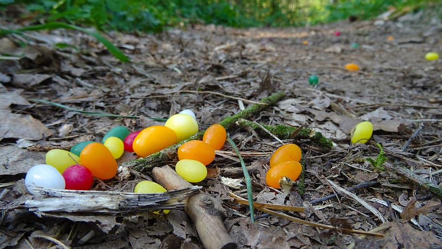 easter, easter eggs, forest, forest floor, forest path, children HD wallpaper