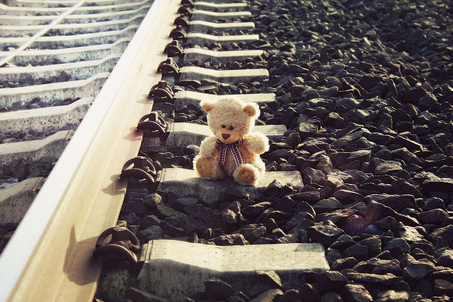 brown bear plush toy on grey metal train rail, teddy, teddy bear HD wallpaper