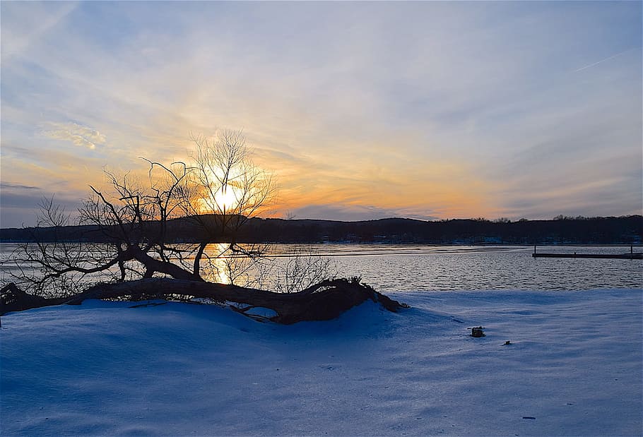 Sunset, Snow, Lake, Tree, Silhouette, winter, nature, white HD wallpaper