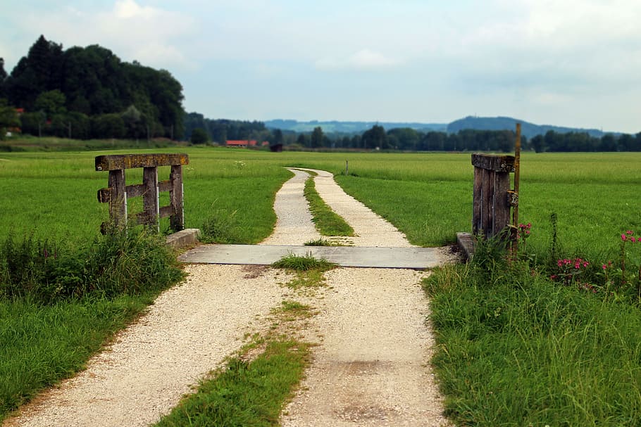 footpaths between grass field, bridge, web, away, lane, nature HD wallpaper